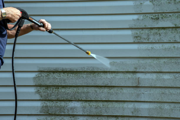 Best Sidewalk and Walkway Cleaning  in St James, MO
